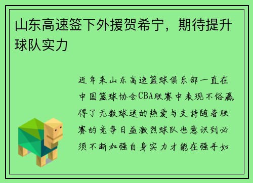 山东高速签下外援贺希宁，期待提升球队实力